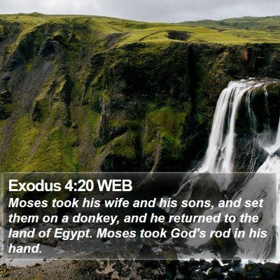 Exodus 4:20 WEB Bible Verse Image