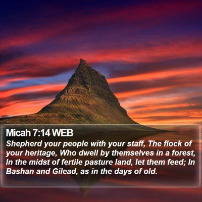 Micah 7:14 WEB Bible Verse Image