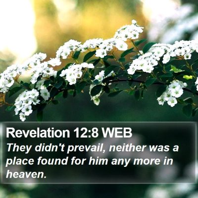 Revelation 12:8 WEB Bible Verse Image