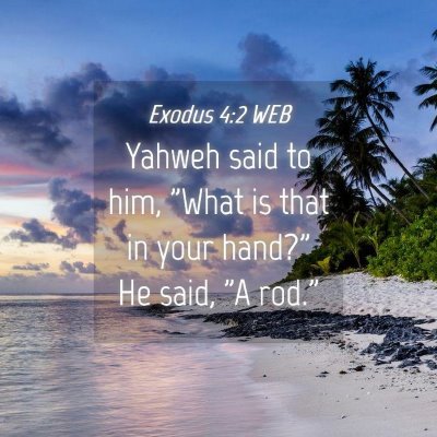 Picture 04 - Exodus 4:2 WEB - Yahweh said to him, 