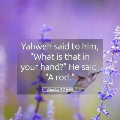 Picture 05 - Exodus 4:2 WEB - Yahweh said to him, 