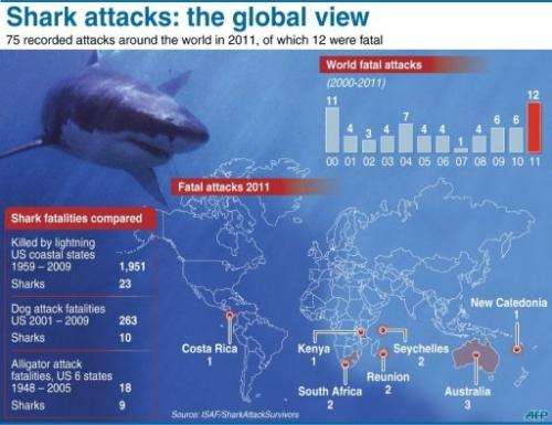 Man vs. Shark: Australia's battle for the deep