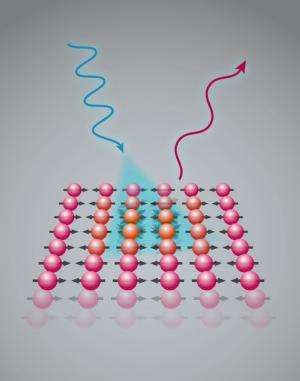 Magnetic interactions of fundamental importance for iron-based high-temperature superconductors