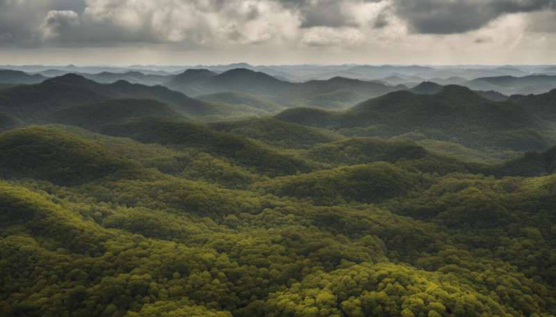 Brazil's Cerrado forests won't be saved by corporate pledges on deforestation