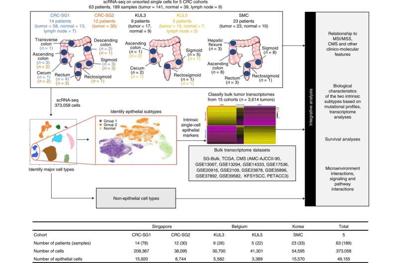 New classification system proposed for colorectal cancer to guide treatment and clinical trials