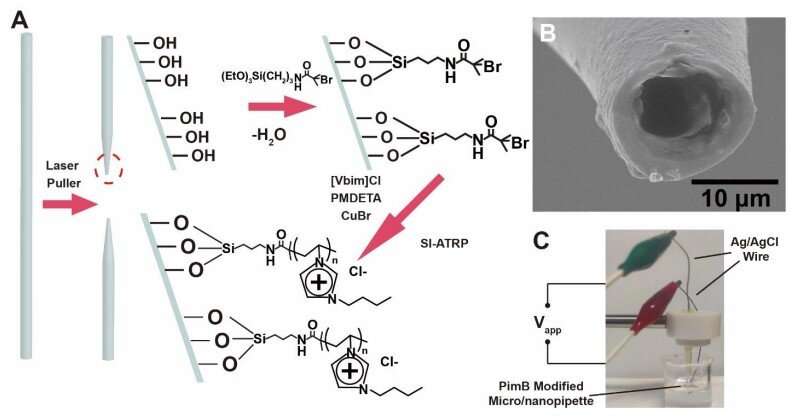 Researchers develop fluidic memristor with diverse neuromorphic functions