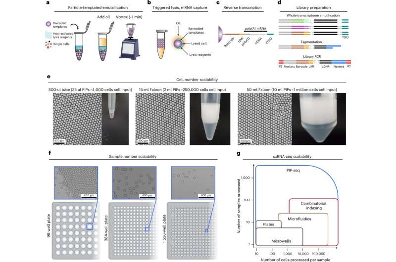 Single-cell sequencing solution seeks to unleash disruptive science, with a vortexer