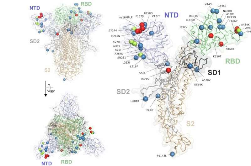 Faster response to new virus variants