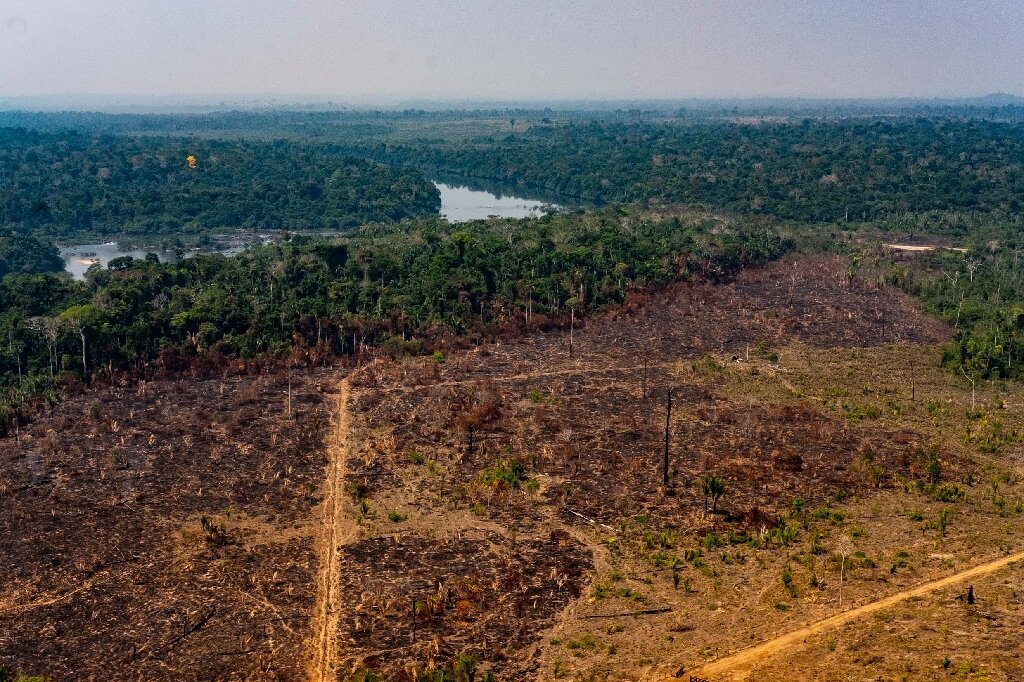 Brazilian Amazon Deforestation Hits New Jan Apr High