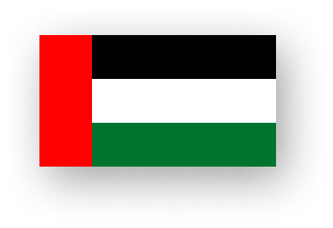 Dubai Flag