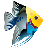 Fish coloring pages