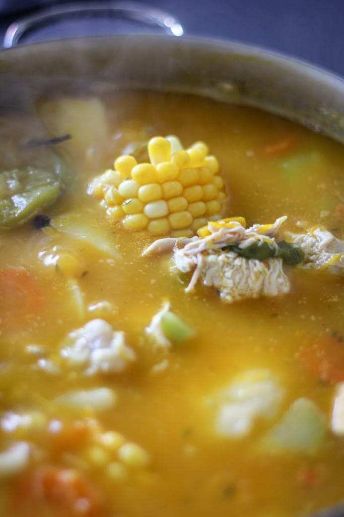 chicken soup boiling in pot.