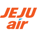 Airline logo