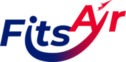 Airline logo