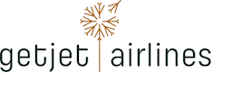 Airline logo