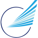 Airline logo