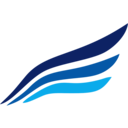 Airline logo