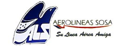 Airline logo