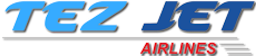 Airline logo