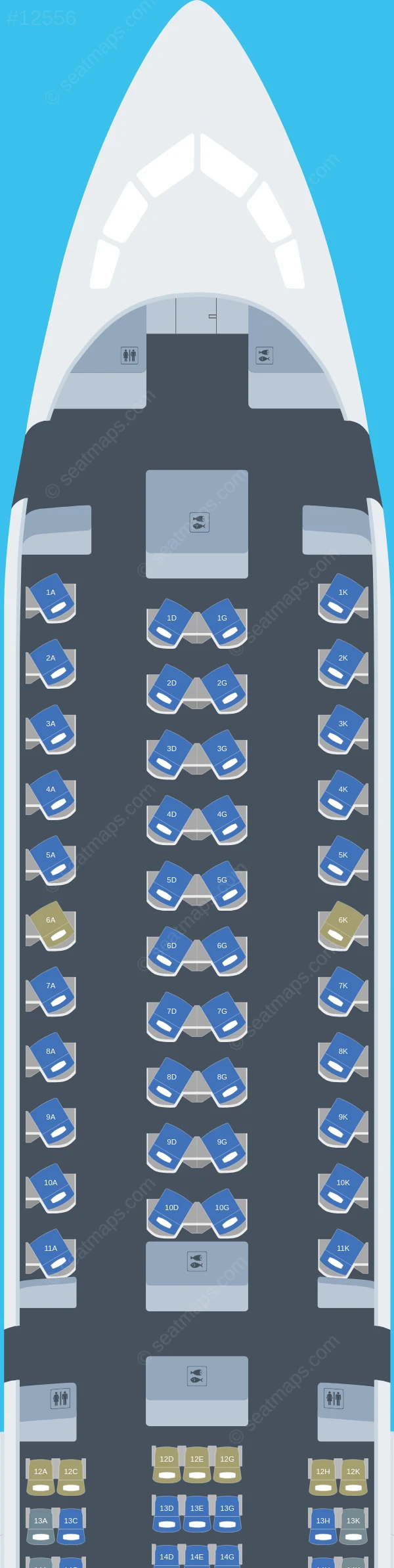 Air Canada Boeing 787-10 seatmap preview