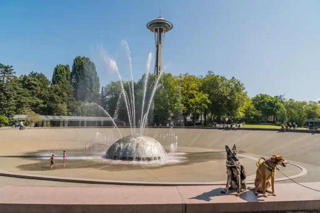 The Definitive Guide on the Best Time to Visit Seattle