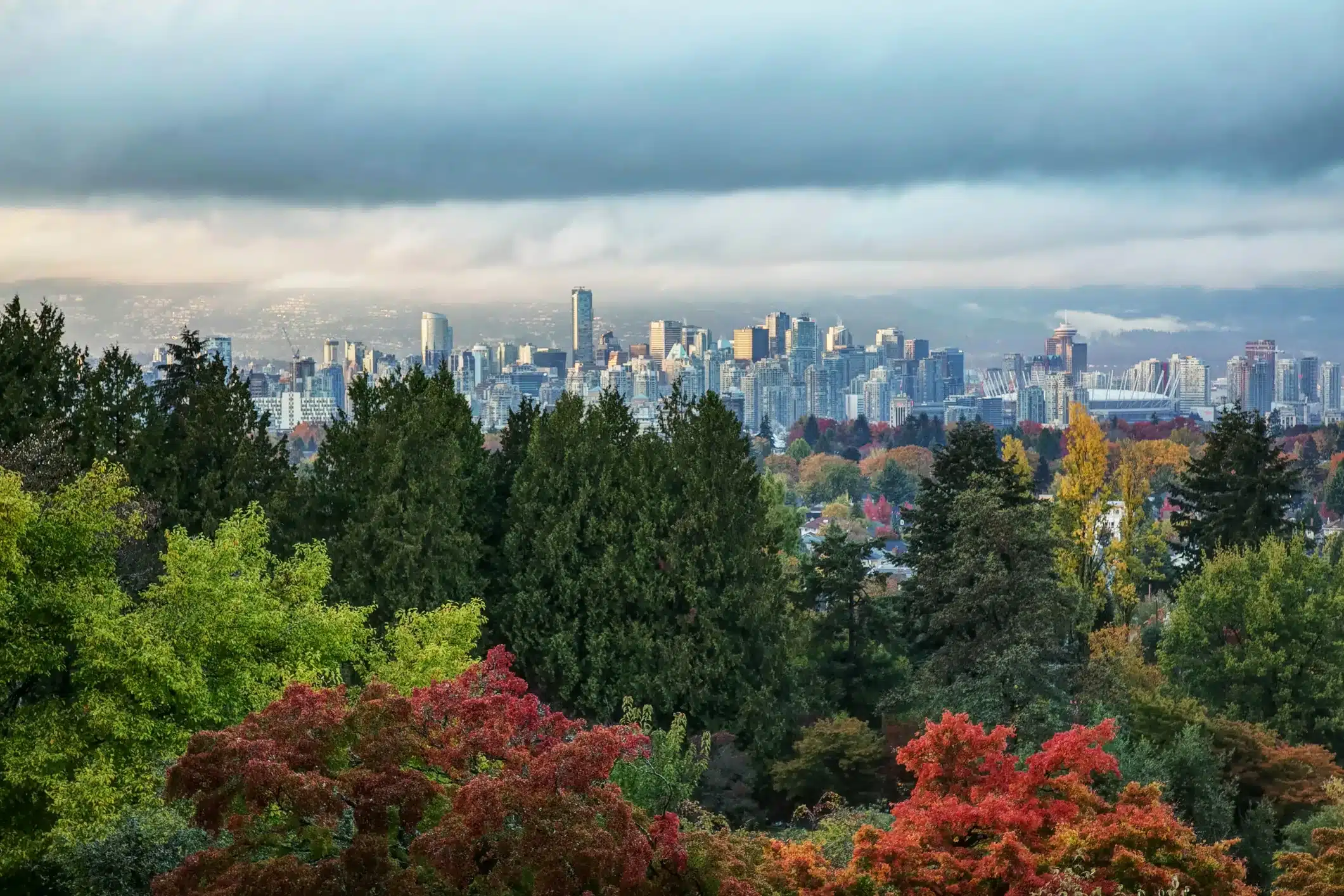 Vancouver Trees in Fall with Downtown