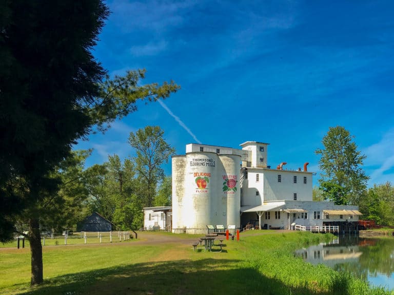 Thompson Mills with a tree in the foreground and blue sky behind it