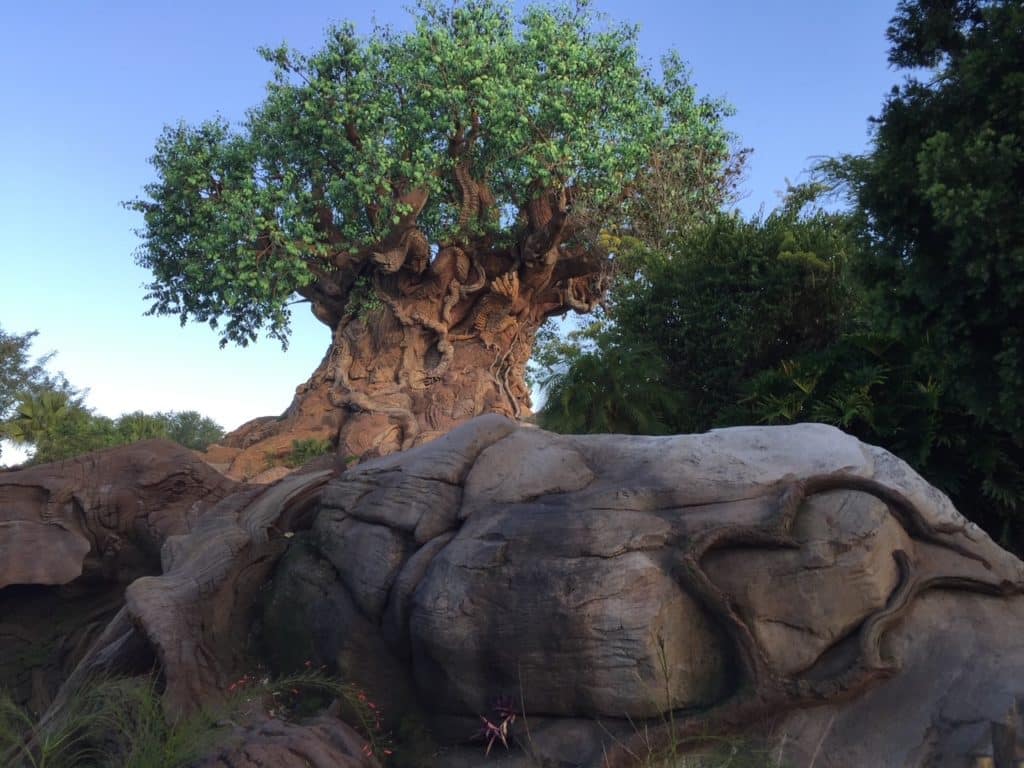 The Tree of Life in Animal Kingdom