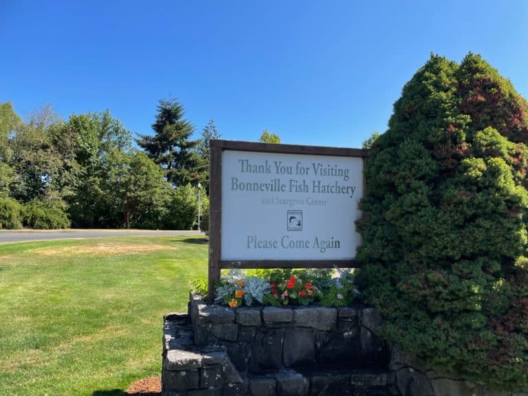 Bonneville Dam Fish Hatchery Sign