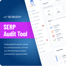 SERP Audit Tool