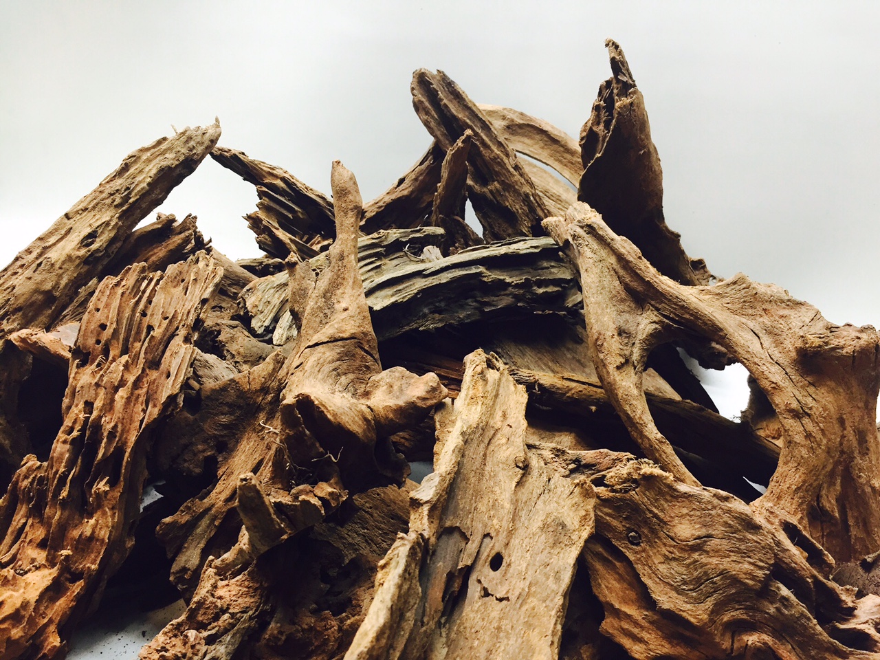 Driftwood For The Aquarium - Serene Aquarium