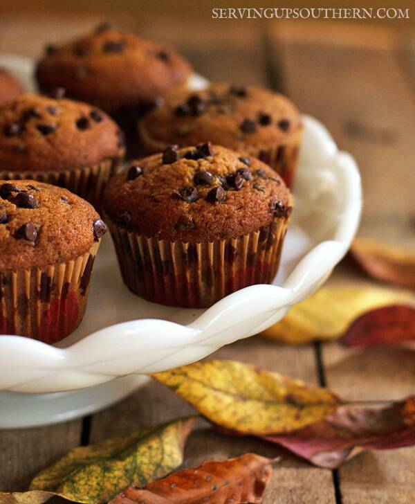 Pumpkin Chocolat Chip Muffins