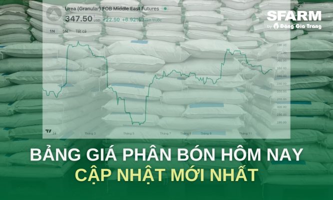 Giá phân bón hôm nay cập nhật mới nhất