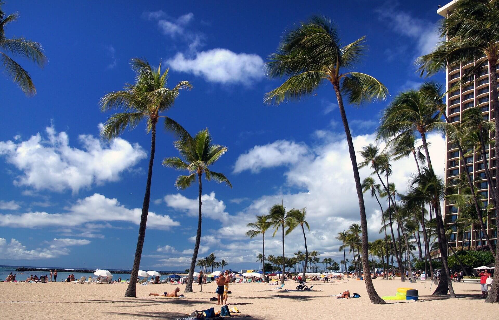 Honolulu Travel Shaka Guide