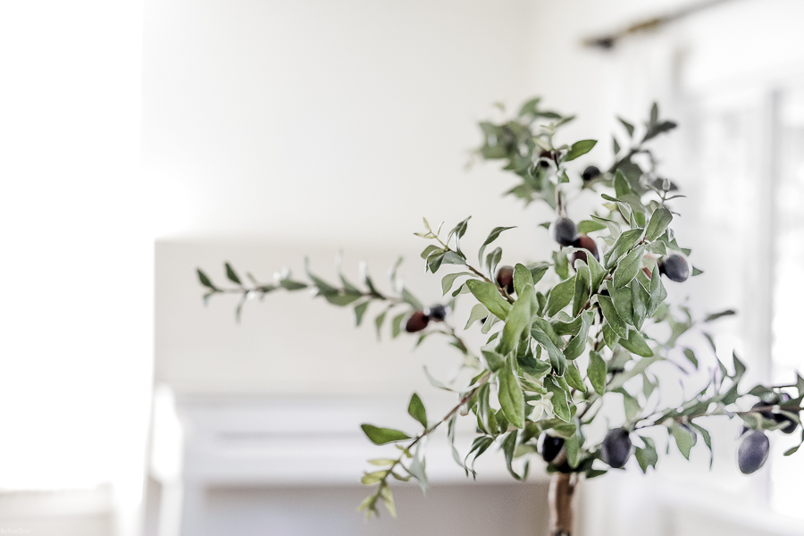 Easy Olive Tree Topiary by sheholdsdearly.com