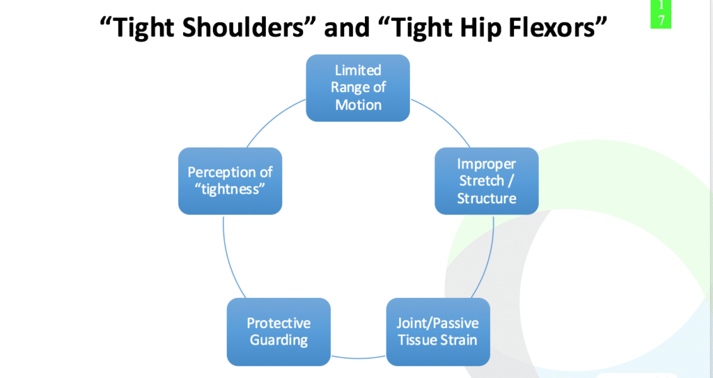 185 a Hip Tightness and Instability Circle Graphic