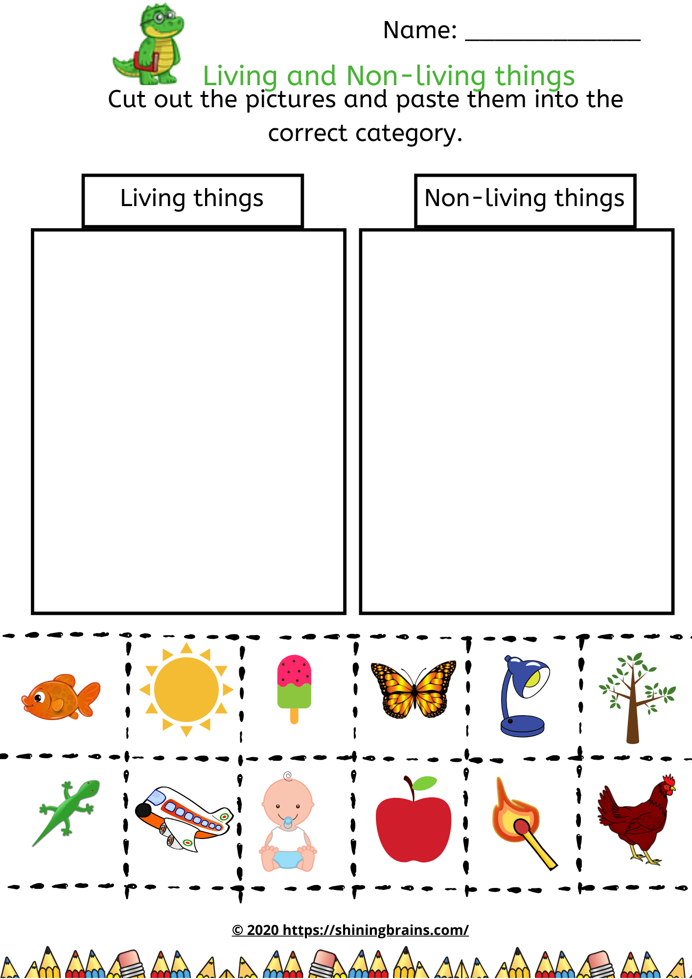 Living And Non-living Things Kindergarten