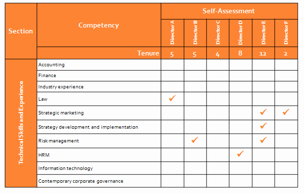 Employee Skills assessment Template Best Of Director Skills Petency assessment Effective Governance