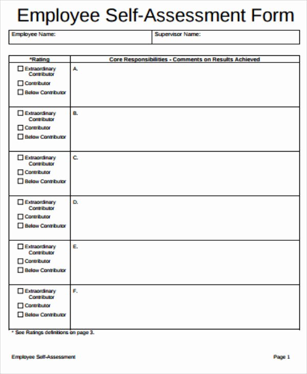 Employee Skills assessment Template Elegant 5 Job Self assessment Samples