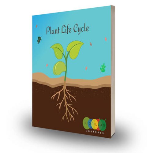 Plant Life Cycle