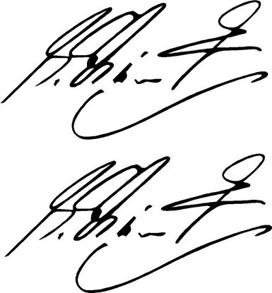 Picture of "Micheal Schumacher"  Signature General Panel  Decals / Stickers