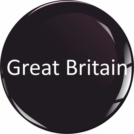 Picture for category British Military Stickers