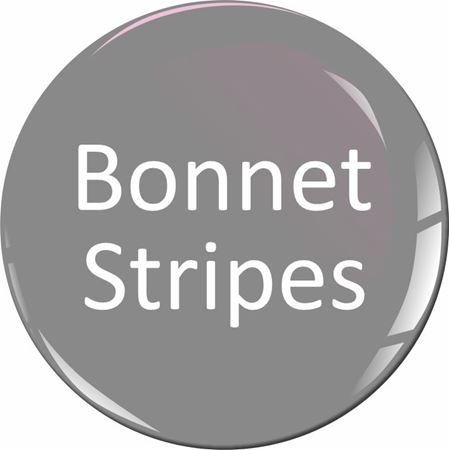 Picture for category Mini LCi 2 Bonnet STripes