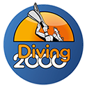 Diving 2000