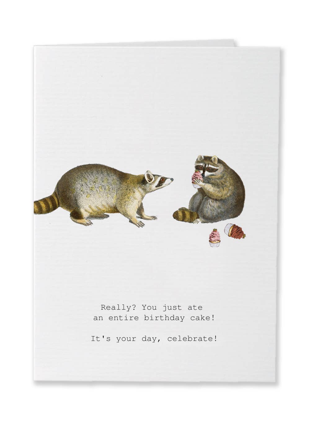 TokyoMilk Card Raccoons Your Day Greeting Card – Little Miss Muffin ...