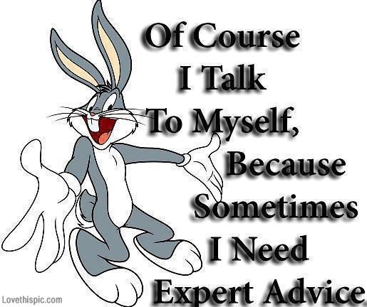 Looney Tunes Quotes