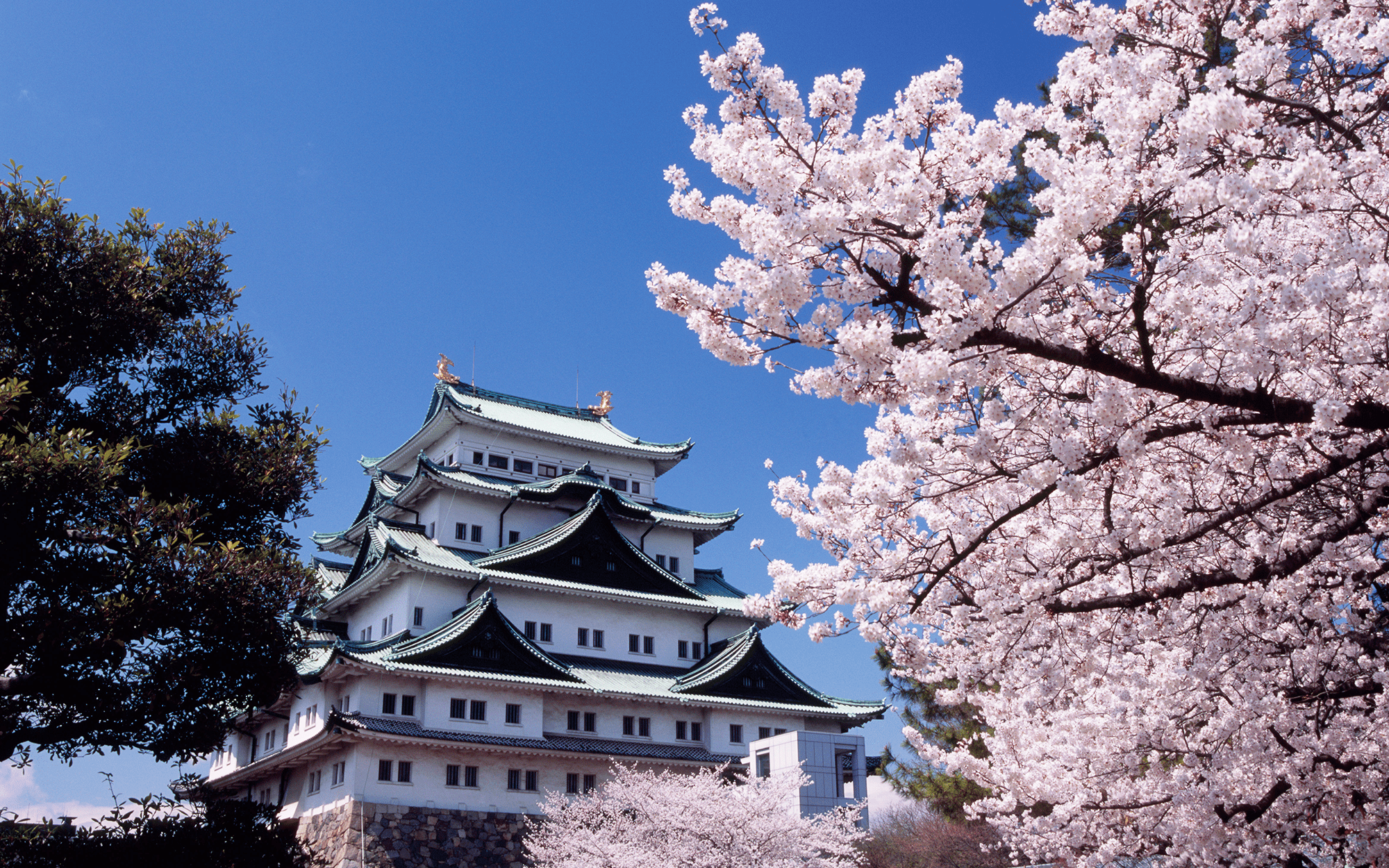 名古屋城