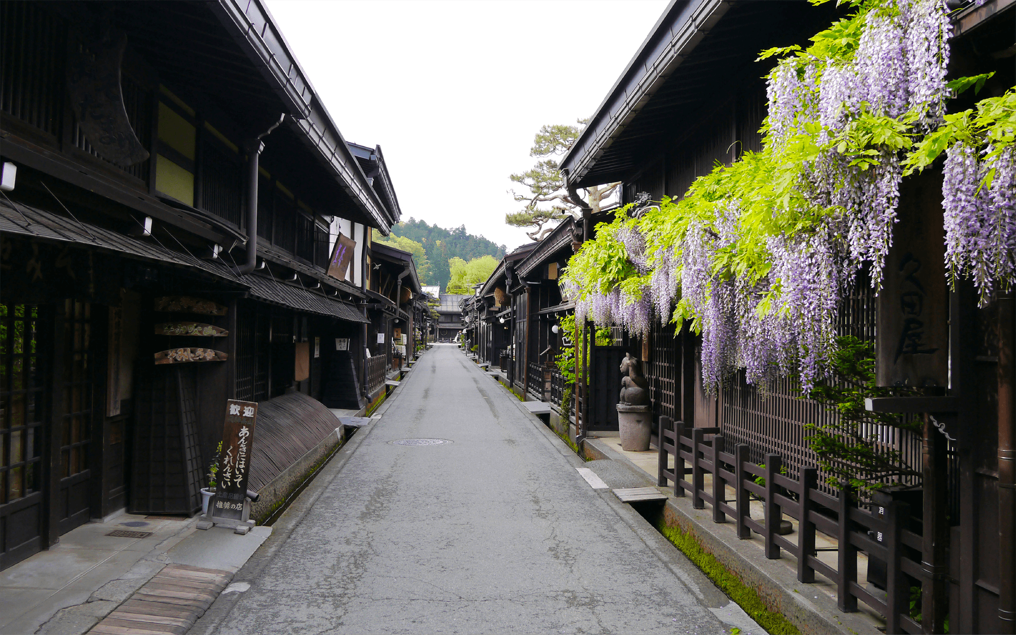 高山