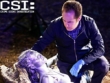 "CSI: Crime Scene Investigation" The Last Ride | ShotOnWhat?