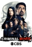 "Criminal Minds" The Crimson King | ShotOnWhat?